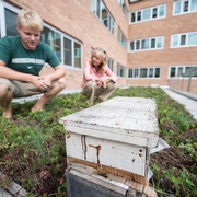 students next to beehives